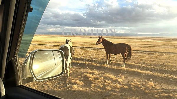 Земельный участок Россия, Алтай Республика, Кош-Агачский район, Тобелер с. 	
